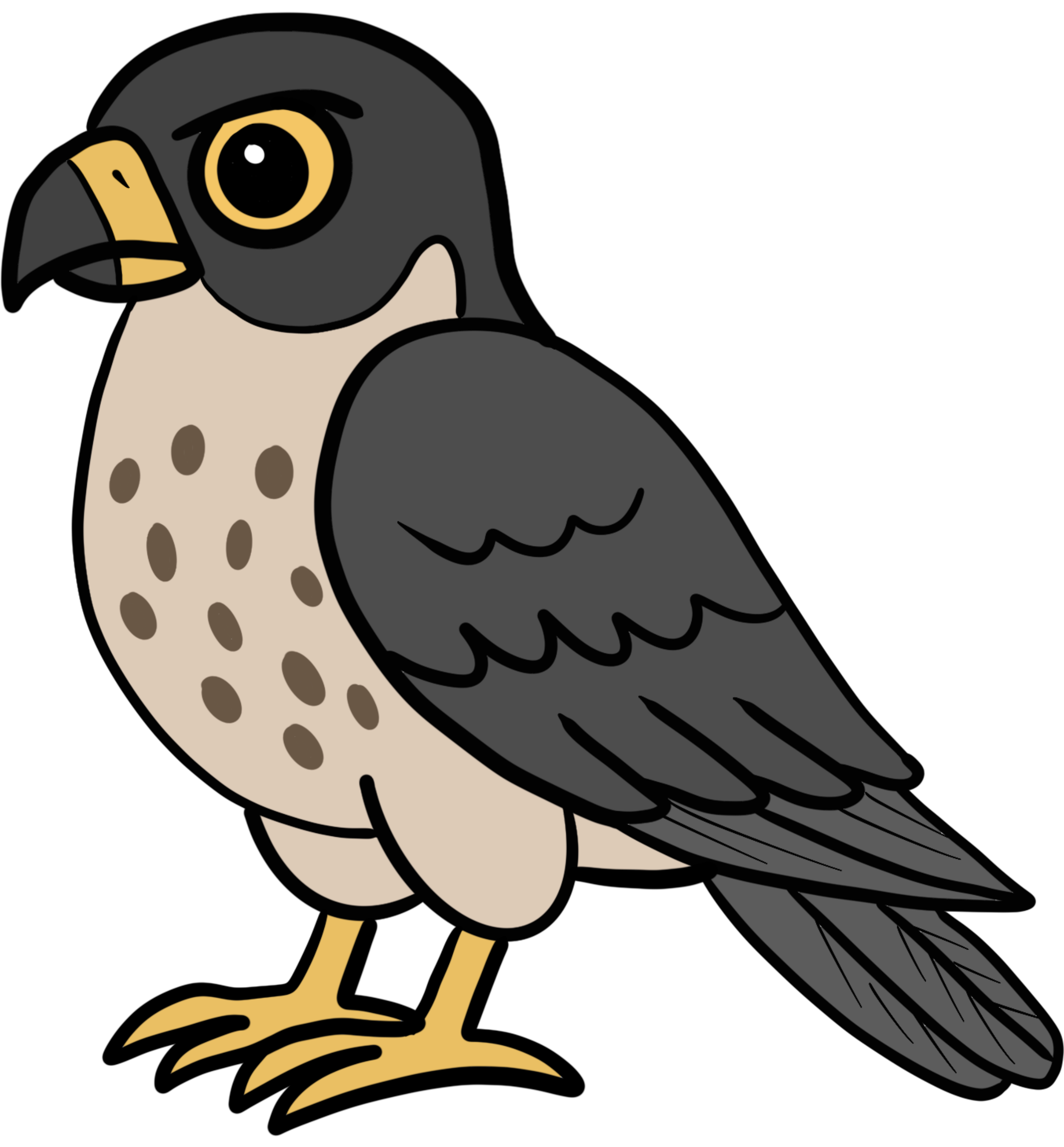The Crash bird champion card